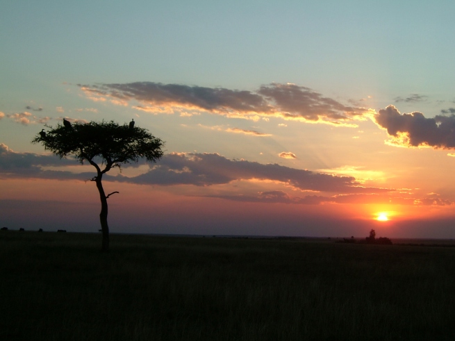 Maasai Mara-Kenya
