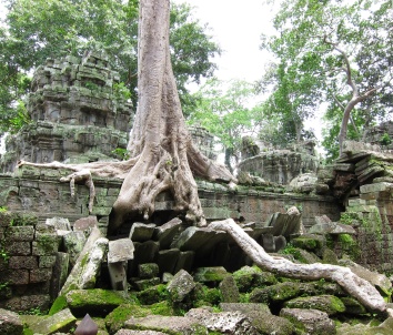 Angkor's temple-Siam Reap, Cambodia