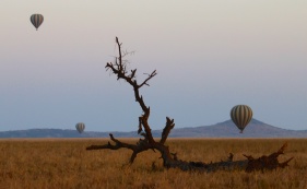 Balloons at dawn in Serengeti