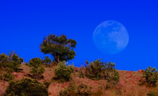 Moonrise near Lobo-Serengeti