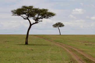 Road to Mara River-Serengeti